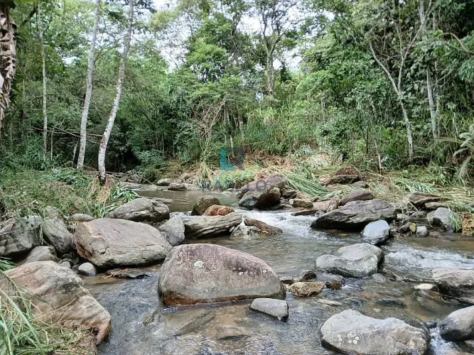 SÍTIO COMPLETO COM ABUNDÂCIA DE ÁGUA EM BANANAL-SP