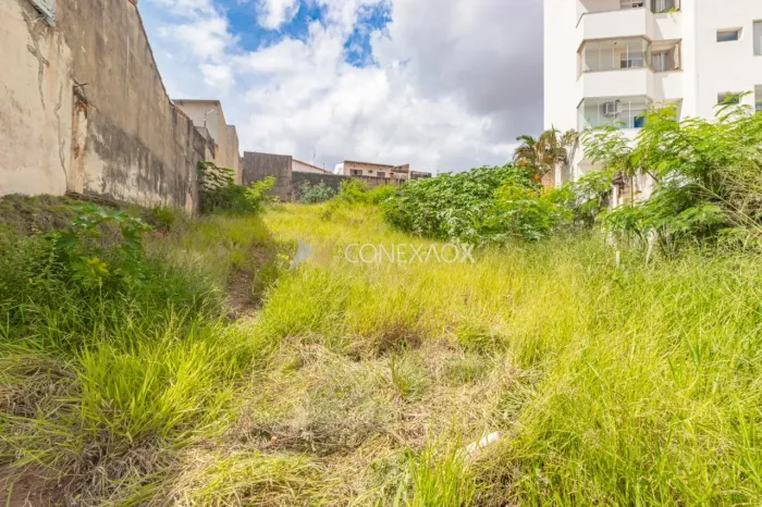 terreno - Vila Industrial - Campinas