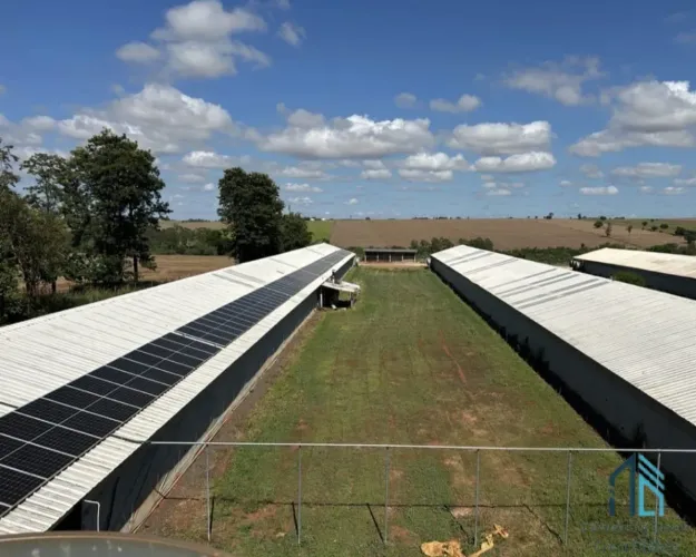 Área total de 8,41ha (3,47 alqueires) com três aviários climatizados de 12x120m bem locali