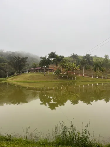 FAZENDA COM 110 ALQ 