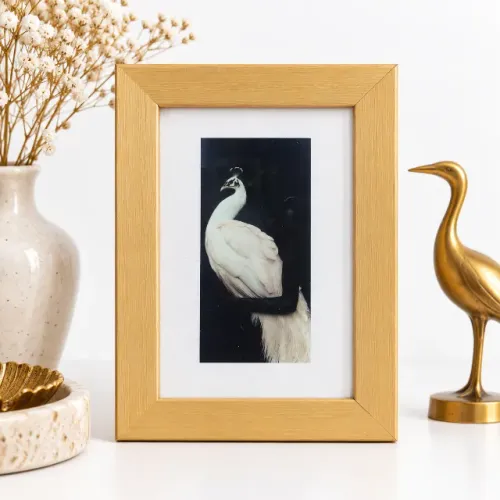 Quadro Decorativo Africanidades Mulher Negra Pavão Branco Arte Afro Moldura Madeira 12x17