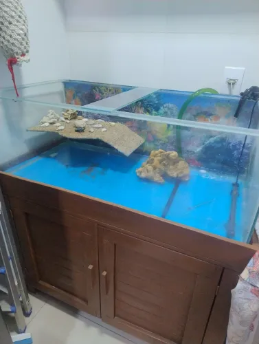 Venda de um aquário 