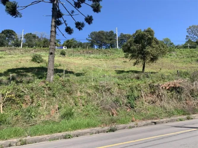 Terreno Urbano localizado no Bairro Nossa Senhora das Graças, Estrada