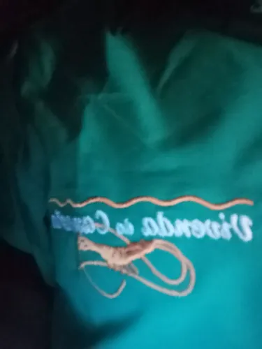 Vaga Para Atendente de Restaurante