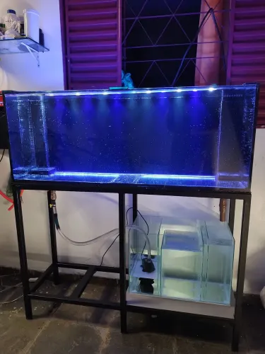 Vendo aquário zero 260 litros 