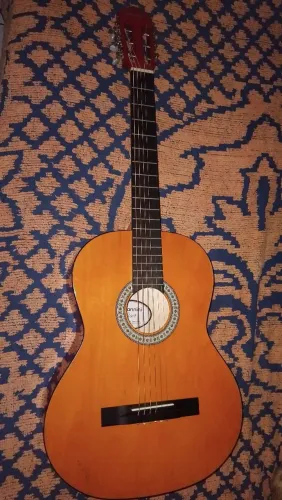 Giannini n 14