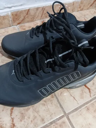Puma 43