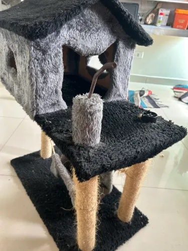 Casinha de gato