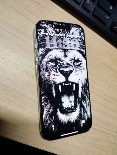 iPhone 16 Pro