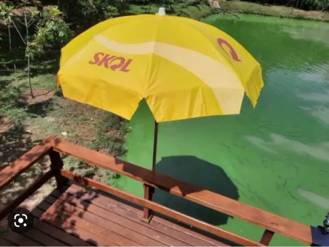 Guarda Sol Skol
