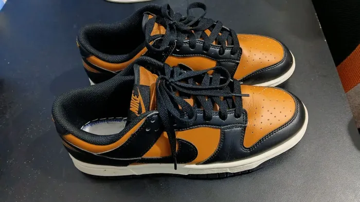 Tenis nike dunk