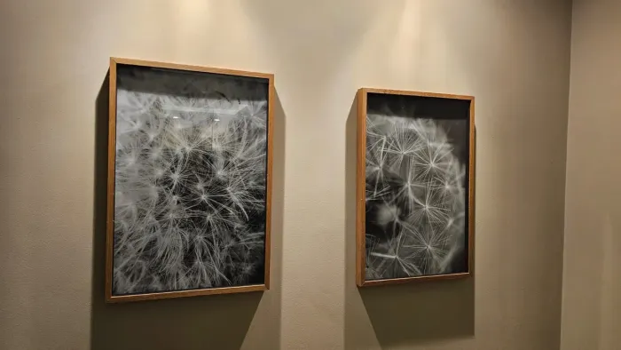 Quadros