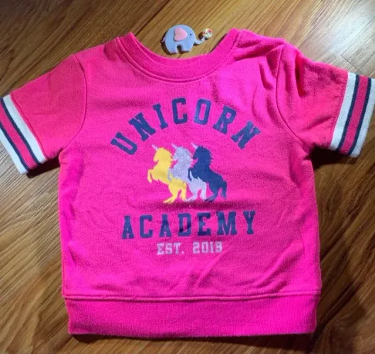 Camiseta moletom Garanimals tamanho 2 anos importada (Desapego)