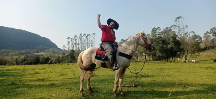 Cavalos marchador