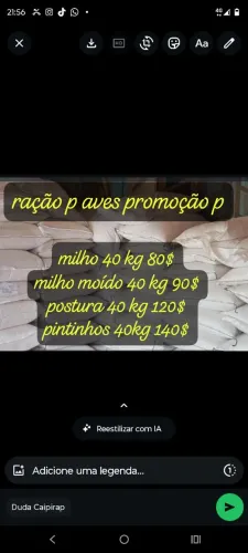 milho derivados e ração p galinha