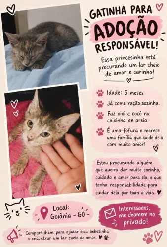 Adoção Responsável!