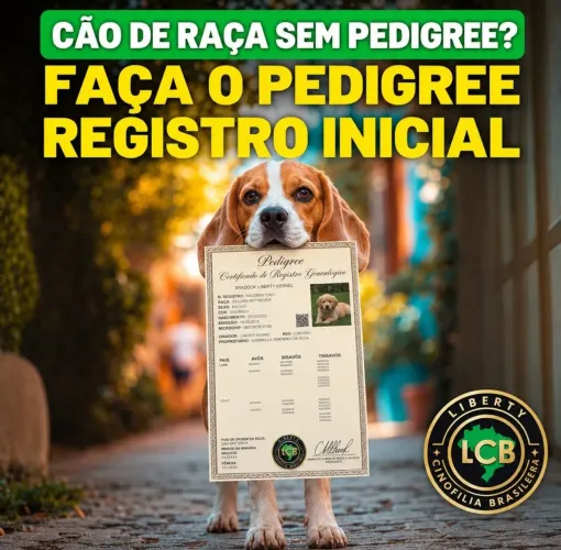 Cão de Raça precisa ter Pedigree Pedigree