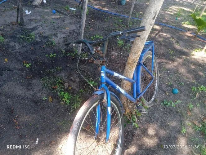 Bicicleta