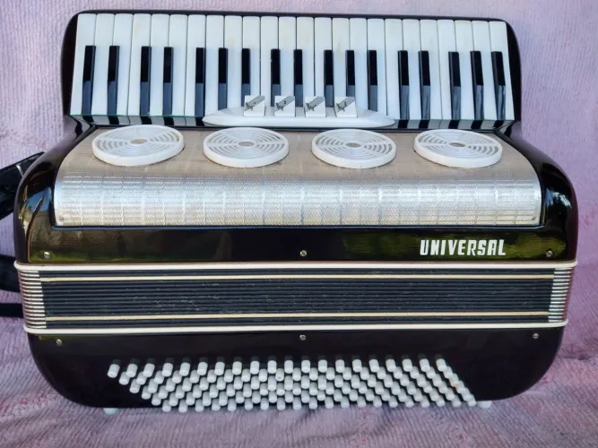 Acordeon / Sanfona Universal 120 Baixos