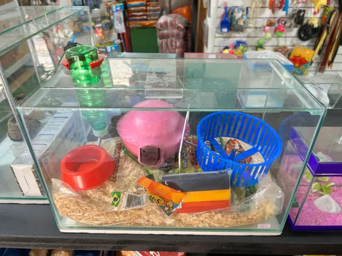 Terrário para hamster