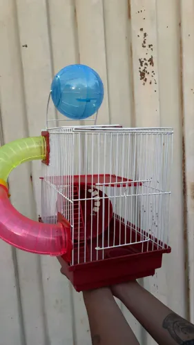 GAIOLA DE HAMSTER