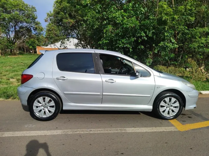 Peugeot 307 Feline/griff/premi. 2.0 Flex 5P Aut. 2007