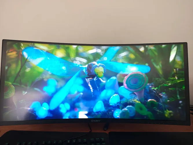 Monitor gamer