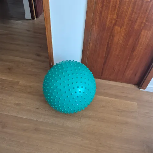 Bola fisioterapia