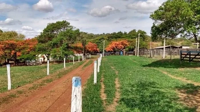 Chácara de 09 alqueires em Goianápolis-Go 