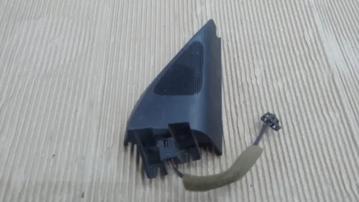 Acabamento Retrovisor Dir. Passat