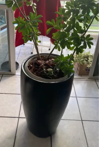 Vendo um vaso, vietnamita, grande pesado na cor preto