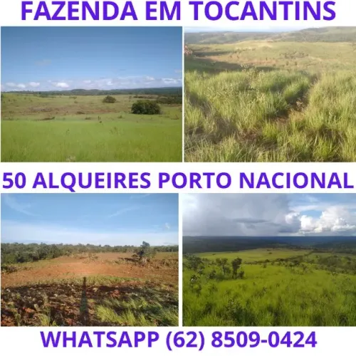 Fazenda fazend 50 Alqueires Sitio Roça Chacara Alqueire Venda Tocantins