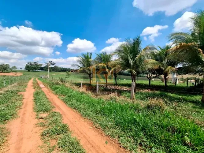 CEDRAL (SP) Sítio com 2 alqueires 