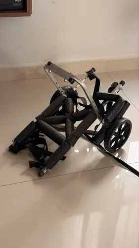 Cadeira de rodas para pets