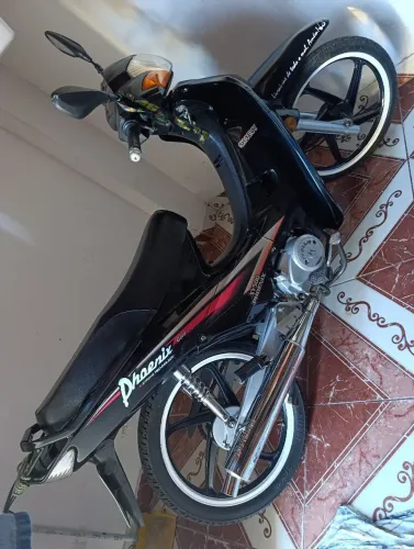 Shineray fênix Gold 