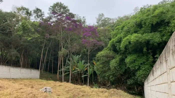 Terreno pronto para construir - Colônia Rodrigo Silva - Barbacena MG