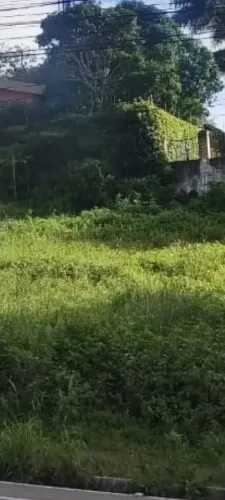 Terreno na Prata 36 metros X 40 metros 