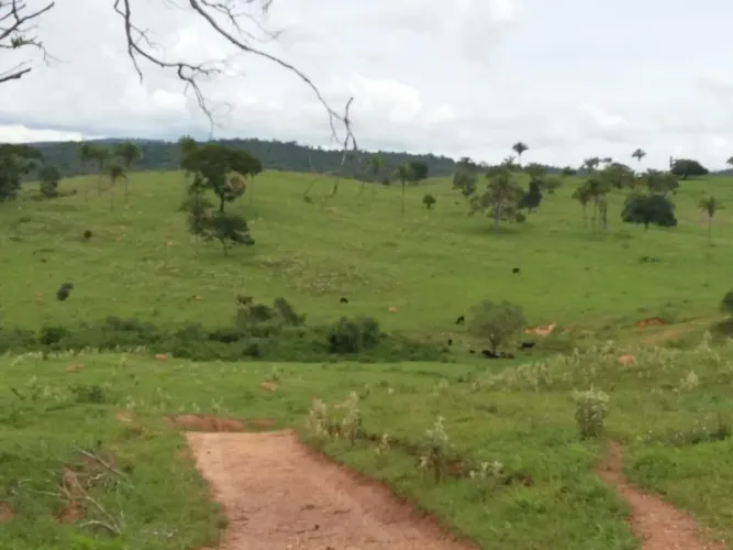 Fazenda monta pecuária triângulo mineiro 