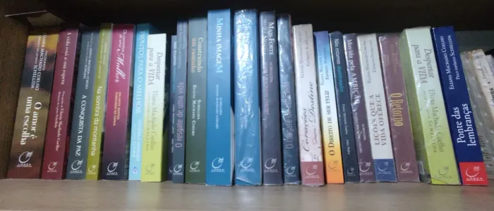Livros Espíritas "Eliana Machado Coelho"_Preço unitário