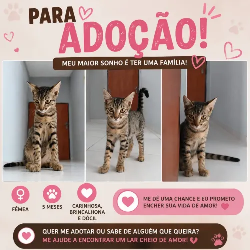 Doação 