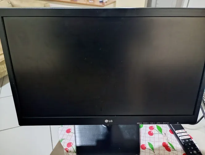 Monitor VGA LG Flatron 19,5 polegadas
