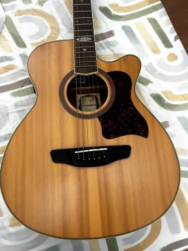 Violão Strinberg SA-20C