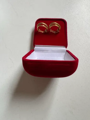 Lindo Brinco de Ouro