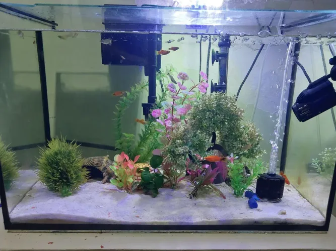 Aquario 64 litros completo