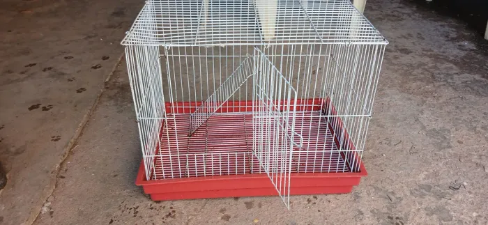 Gaiola grande para roedores