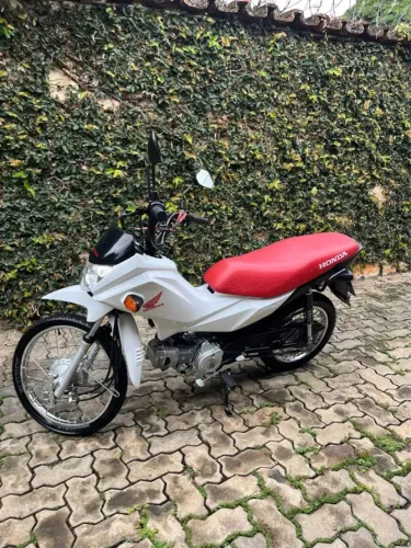 Honda Pop 110i 2023 filé