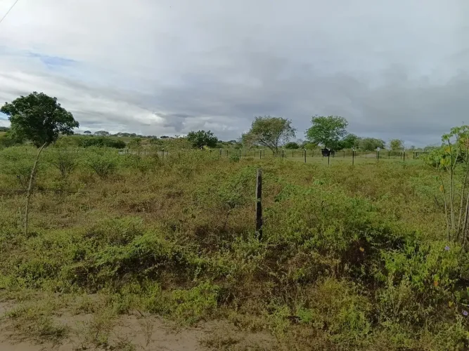 Vende este terreno em sucupira antes de santa Bárbara a 3km da br.116,Bahia 26X30m