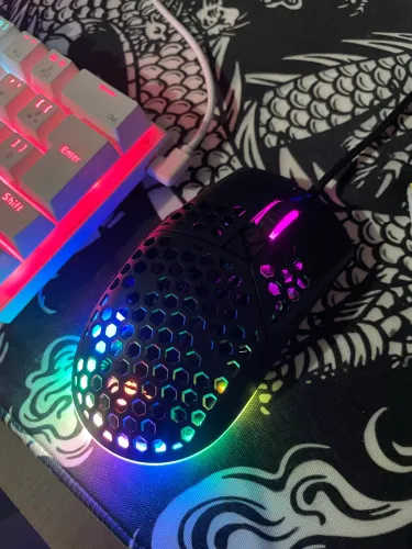 Mouse havit