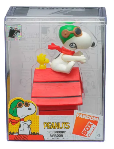 Fandom box Snoopy na casinha