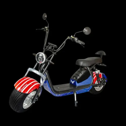 SCOOTER ELÉTRICA GREEN SPORT 3.000W SEMI NOVA